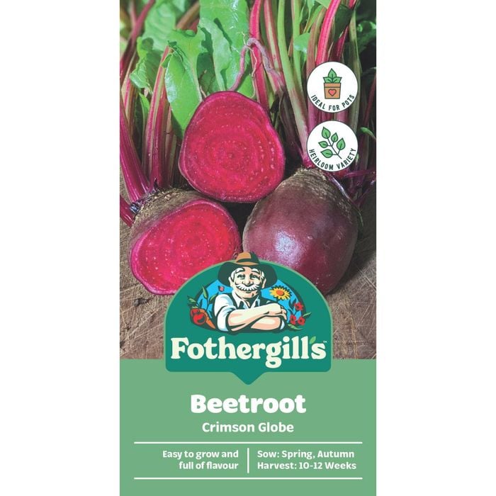Fothergill's Crimson Globe Beetroot Vegetable Seeds
