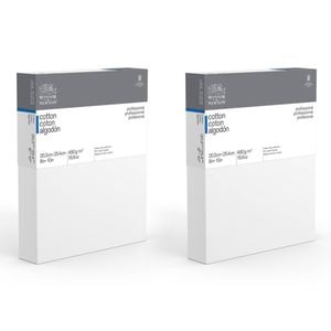 2x Winsor & Newton Professional 8x10" Stretched Cotton Canvas 1.5" Thick Edge Wh