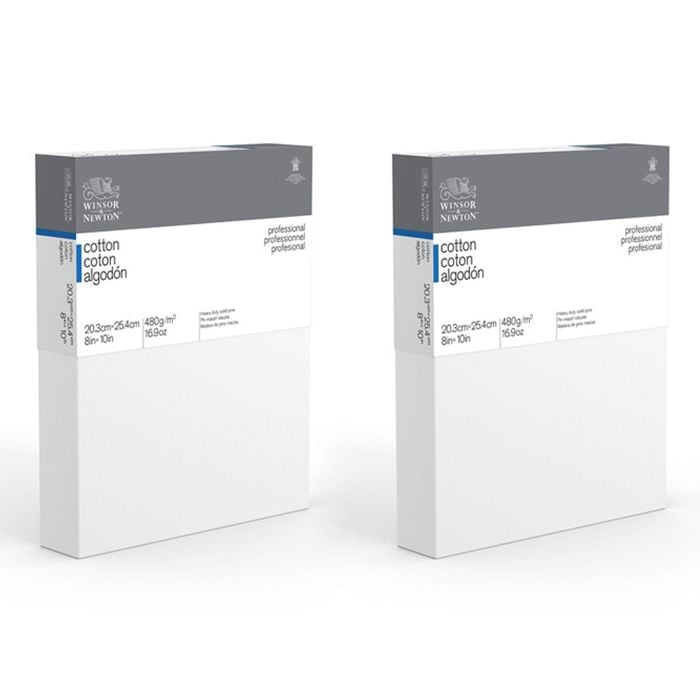 2x Winsor & Newton Professional 8x10" Stretched Cotton Canvas 1.5" Thick Edge Wh