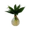 110mm Hydroponics Teardrop Indoor Foliage