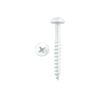 Pinnacle 4.0 x 30mm White Round Head Timber Screw - 20 Pack