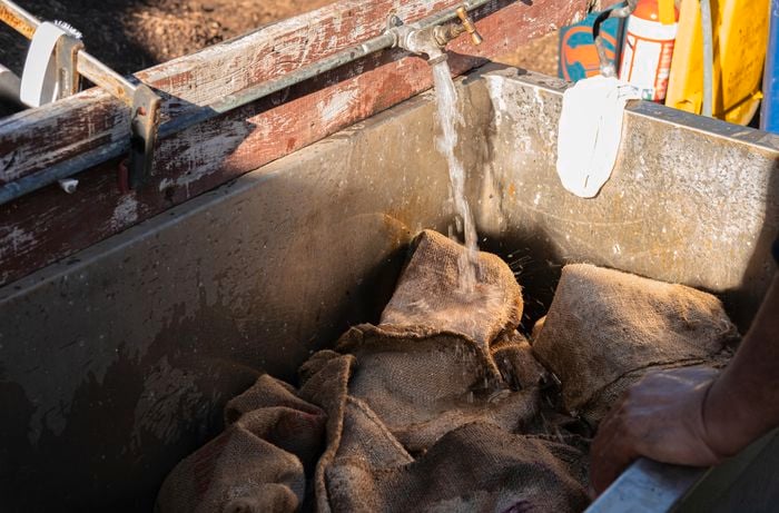 Hessian sacks being covered in water.
