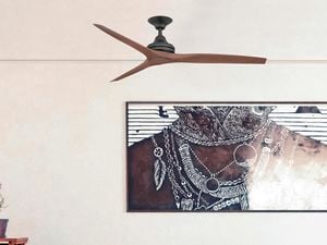 Modern ceiling fan with dark wooden blades.