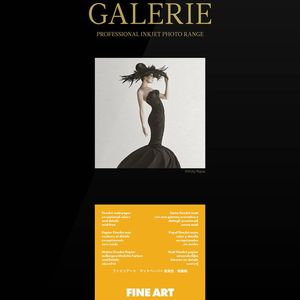 Ilford Galerie Fine Art Smooth 200gsm 17 43.cm X 15m Roll Gpfas