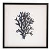 LVD Framed Glass/Resin 50x50cm Print Sea Fan 2 Wall Hanging Art
