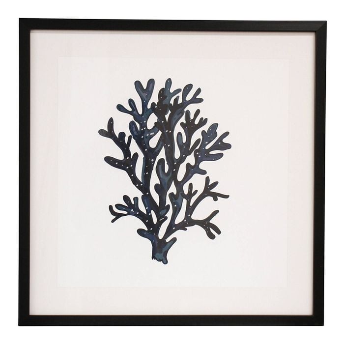 LVD Framed Glass/Resin 50x50cm Print Sea Fan 2 Wall Hanging Art
