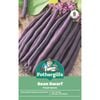Fothergill's Purple Queen Dwarf Bean Vegetable Seed