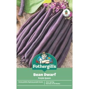 Fothergill's Purple Queen Dwarf Bean Vegetable Seed