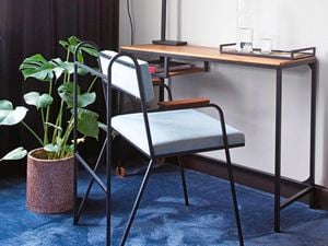 Chair, desk and potted plant in a living room with curtains