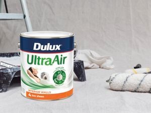 Can of Dulux paint.
