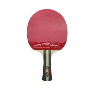 Leaf Living Dhs Special 2*dhs3002 Pair 3 Star Table Tennis Bat / Ping Pong Racket Paddle Long Handle