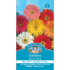 Mr Fothergill's African Daisy Gerbera Flower Seeds