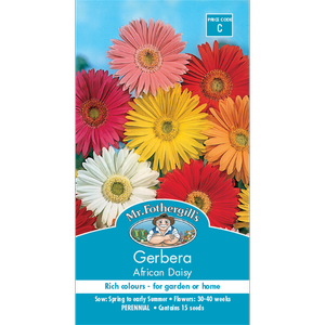 Mr Fothergill's African Daisy Gerbera Flower Seeds