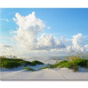 Early Morning Light & White Sand  Print 100% Australian Made 75 x 50cm  (Stretched)