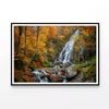 Waterfall in Forest with Trees  Print 100% Australian Made 90x60cm  (Poster)