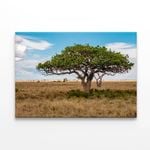 Close-up of a Tree in Tanzania  Print 100% Australian Made 90 x 60cm  (Stretched)