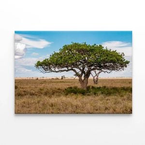 Close-up of a Tree in Tanzania  Print 100% Australian Made 90 x 60cm  (Stretched)
