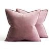 Catzon 2 Pcs Decorative Velvet Throw Pillow Covers Soild for Home Car 50X50cm-Rubber Red