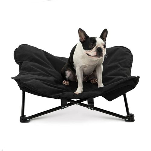 Charlie s Foldable Elevated Dog Bed Black Large Bunnings Australia