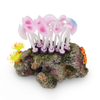 Kazoo Mushroom Coral On Rock (19456)