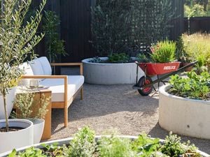 Exterior of a black timber modern farmhouse with an outdoor area featuring a red wheelbarrow, raised garden beds, potted plants, and a white outdoor sofa on gravel. Trees, lawn and greenery are visible in the background.