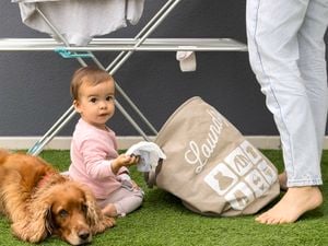A toddler with a dog and a laundry bag sitting on turf grass.