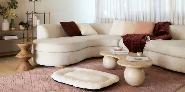 A modern furnished lounge room, with a couch, coffee table, dog bed on a rug on the floor and 2 shelving units next to the wall in it.