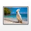 White Cockatoo Bird In Seashore  Print 100% Australian Made 120x90cm  (poster)