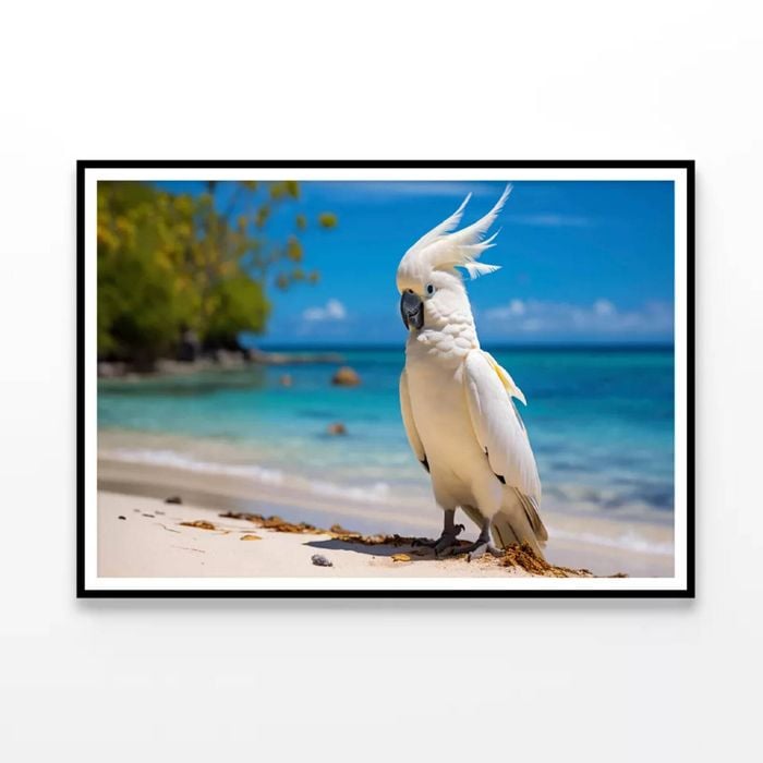 White Cockatoo Bird In Seashore  Print 100% Australian Made 120x90cm  (poster)