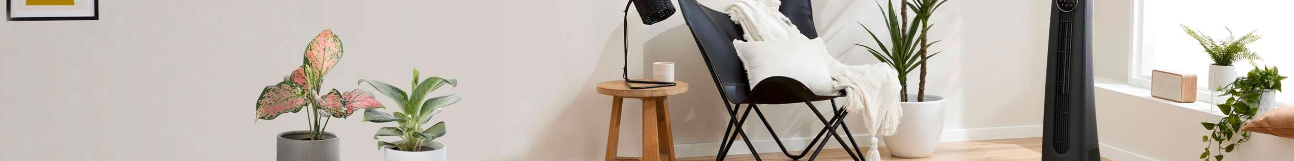 Dimplex heater being used in hallway