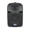 SAROD12: Passive 400 Watt RMS 12" 2 Way Speaker