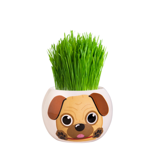 Mr Fothergill's Grass Hair Kit - Pug Puppy