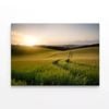 Grassy Field with a Sun, Sky  Print 100% Australian Made 150 x 100cm  (Stretched)