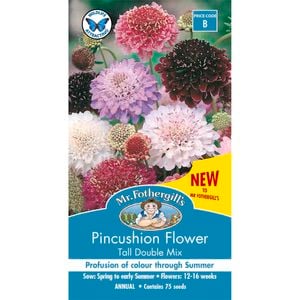 Mr Fothergill's Pincushion Scabious Mixed Seeds
