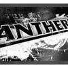 NRL Logo Bar Runner - Penrith Panthers - Bar Mat - 25cm x 90cm