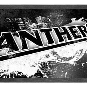 NRL Logo Bar Runner - Penrith Panthers - Bar Mat - 25cm x 90cm