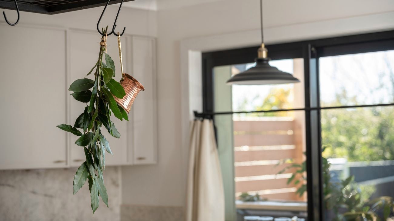 Bay Leaves