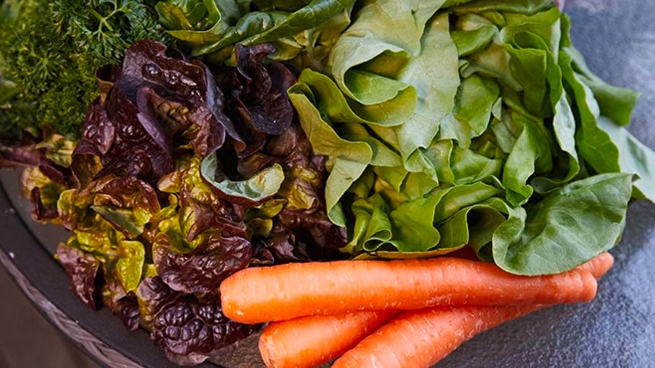 Assortment of harvested vegetables on a table including carrots