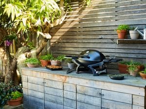 A portable barbecue in an outdoor setting surrounded by pot plants with herbs