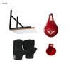 Speedball Frame with Speed ball and Gloves Bundle