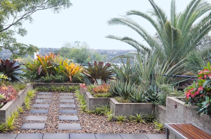 Outdoor area with pavers, retaining walls and plants.