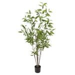 Un-Real 180cm Artificial Lemon Eucalyptus Tree