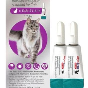 Bravecto Plus For Cats 6.25-12.5kg 2 x  Pipettes (Purple)