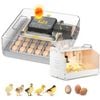 Advwin Automatic 48 Egg Incubator + Chicken Brooder Box