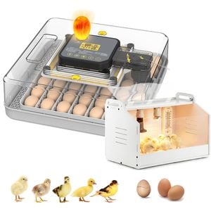Advwin Automatic 48 Egg Incubator + Chicken Brooder Box