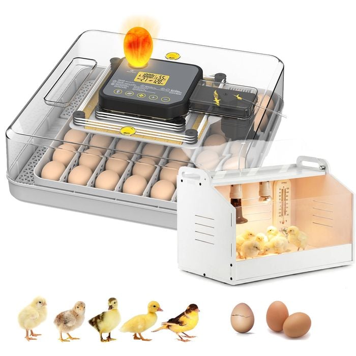 Advwin Automatic 48 Egg Incubator + Chicken Brooder Box