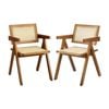 Oikiture 2x Dining Chairs Rattan Chair Walnut