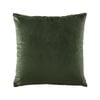 Bianca Vivid Coordinates 43x43cm Velvet Cushion Square - Forest Green