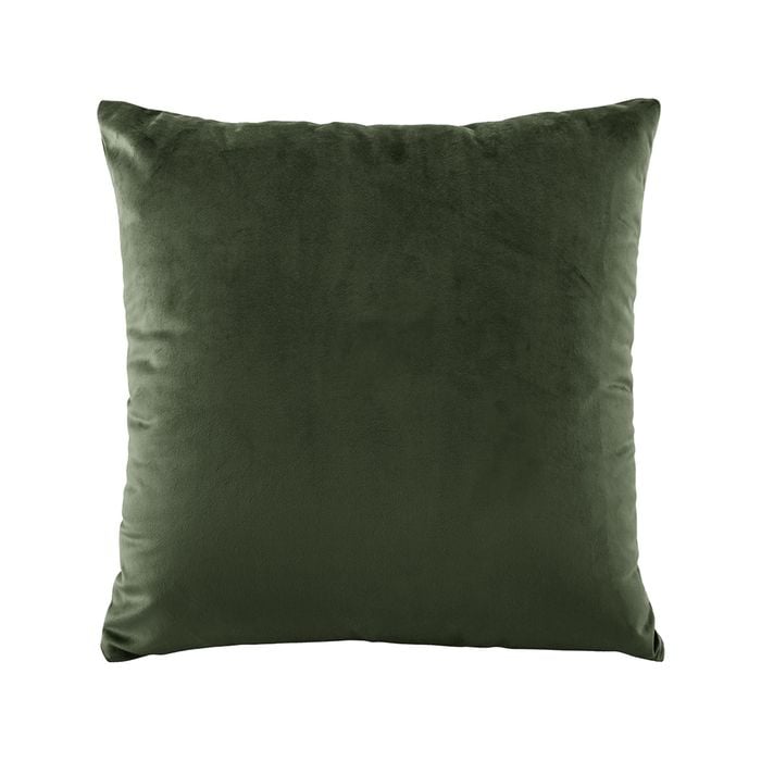 Bianca Vivid Coordinates 43x43cm Velvet Cushion Square - Forest Green