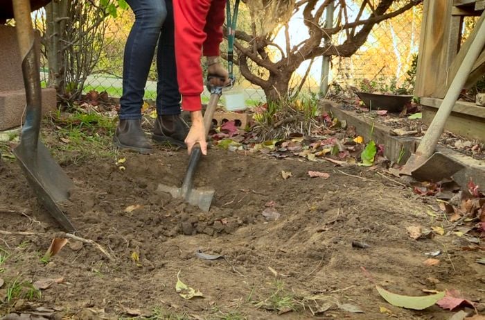 Person digging a hole in the backyard.